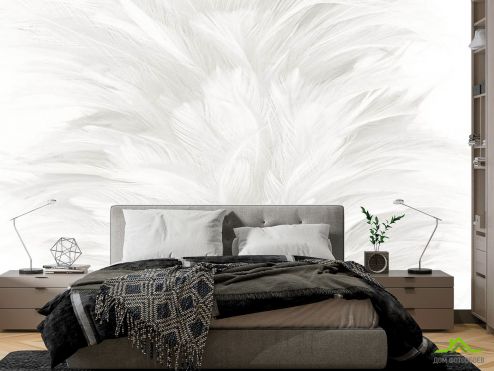 выбрать Фотообои Белые перья Фотообои в спальню: горизонталная, горизонтальная ориентация на стену