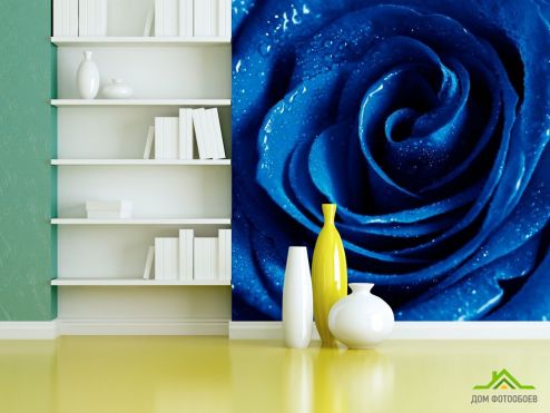 выбрать Фотообои Синяя роза Фотообои Фотообои Цветы: фото  на стену