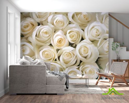 выбрать Фотообои Розы Фотообои, цвет: «горизонталная, горизонтальная» на стену