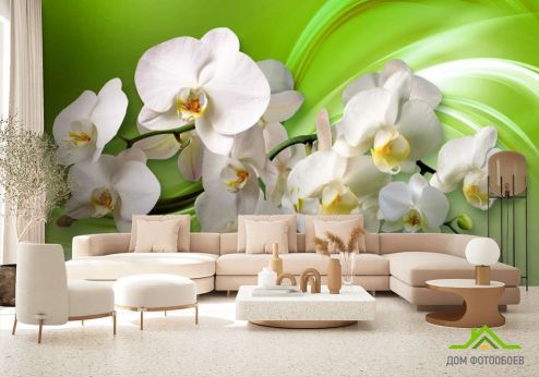 выбрать Фотошпалери 3д орхідеї Фотошпалери Фотошпалери Квіти: зелений, зелений на стіну