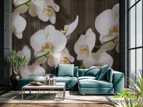 выбрать Фотошпалери Білі орхідеї на дереві Фотошпалери, колір: «квадратна, горизонтальна» на стіну