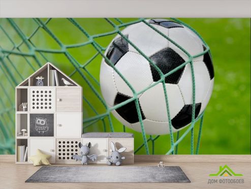 выбрать Фотообои Мяч в воротах Фотообои, цвет: «горизонталная, горизонтальная» на стену