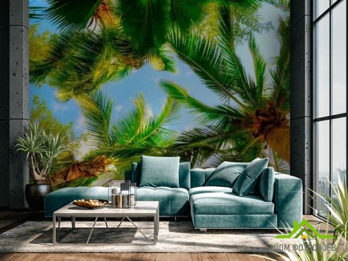 выбрать Фотообои Высокие пальмы Фотообои Фотообои Море: горизонталная, горизонтальная, зелений, зеленый ориентация на стену