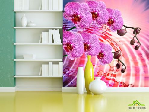 выбрать Фотообои Сиреневые распустившиеся орхидеи Фотообои, цвет: «фото» на стену