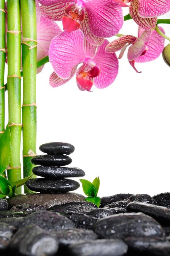 Фотообои Бамбук и орхидея