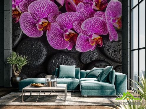 выбрать Фотообои сиреневые орхидеи на черных камнях с каплями Фотообои, цвет: «» на стену