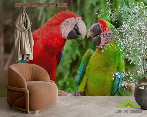 выбрать Фотообои Общение попугаев Фотообои Фотообои Животные: фото  на стену