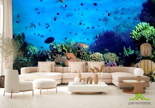 выбрать Фотообои Красота подводного мира Фотообои Фотообои Море: горизонталная, горизонтальная ориентация на стену