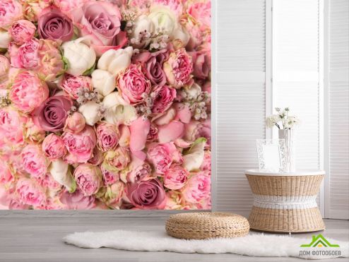 выбрать Фотообои Розы всех оттенков Фотообои Фотообои Цветы: фото  на стену