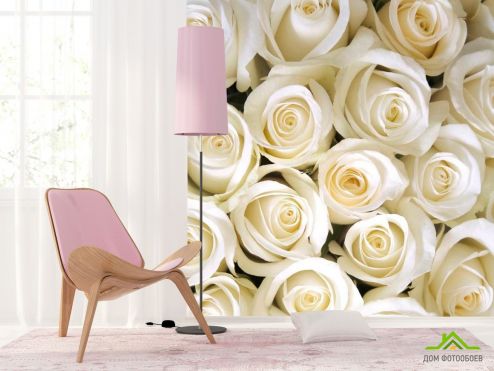 выбрать Фотообои Букет белоснежных роз Фотообои Фотообои Цветы: квадратная ориентация на стену