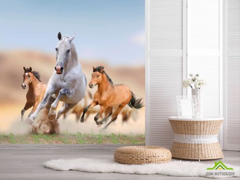 выбрать Фотообои Игры лошадей  на стену