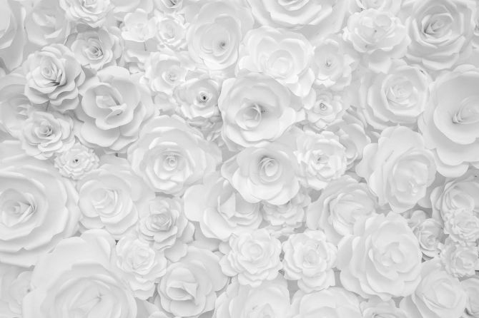 Фотошпалери Біла стіна з паперових квітів