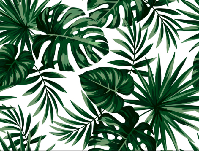 Тропические листья