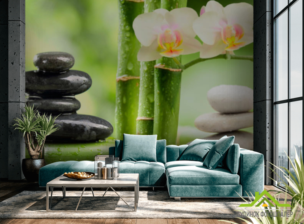 выбрать Фотошпалери Орхідея Каталог фотошпалер на стіну