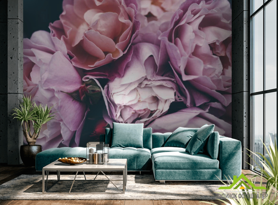 выбрать Фотошпалери Рожеві троянди Каталог фотошпалер на стіну