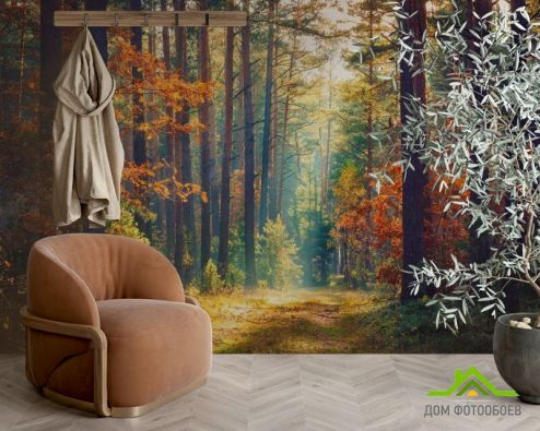 выбрать Фотообои сентябрьский лес Фотообои Фотообои Природа: горизонталная, горизонтальная ориентация на стену