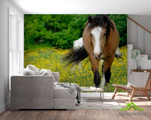 выбрать Фотообои Бег лошади Фотообои Животные на стену
