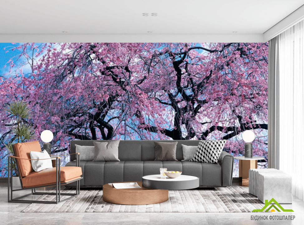 выбрать Фотообои Сакура Каталог фотообоев на стену