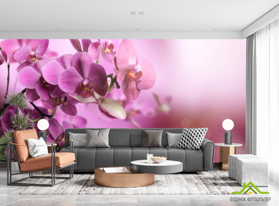 выбрать Фотошпалери орхідеї Каталог фотошпалер на стіну