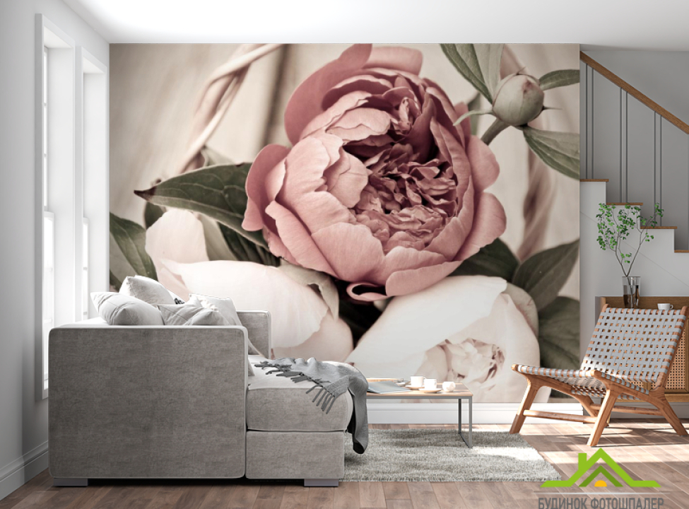 выбрать Фотообои крупные пионы Каталог фотообоев на стену