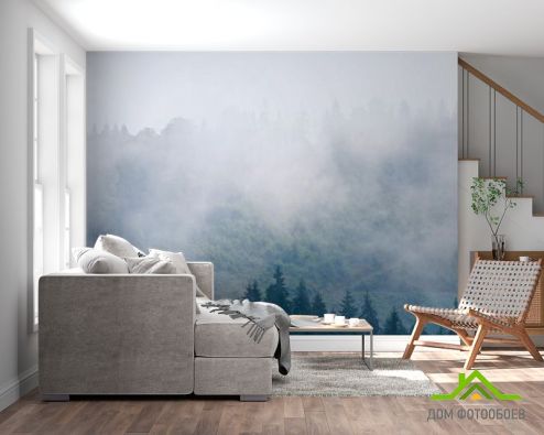 выбрать Фотошпалери туман в лісі Фотообої по стилю на стіну