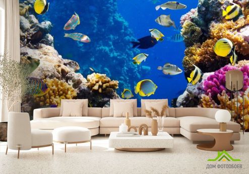 выбрать Фотообои Полосатые рыбки Фотообои Фотообои Море: горизонталная, горизонтальная, синий ориентация на стену