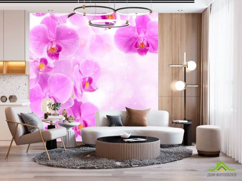 выбрать Фотообои Лиловая орхидея Розовые фотообои на стену