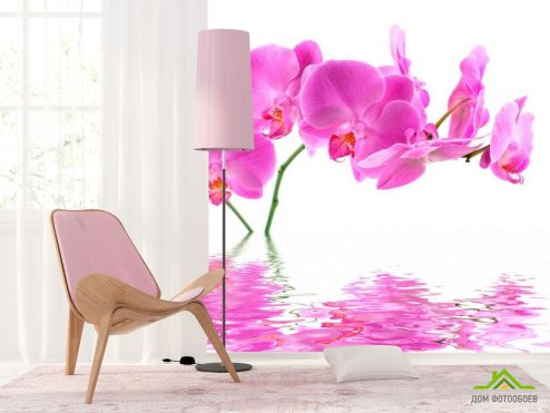 выбрать Фотообои В воде орхидеи Фотообои Фотообои Цветы: квадратная ориентация на стену