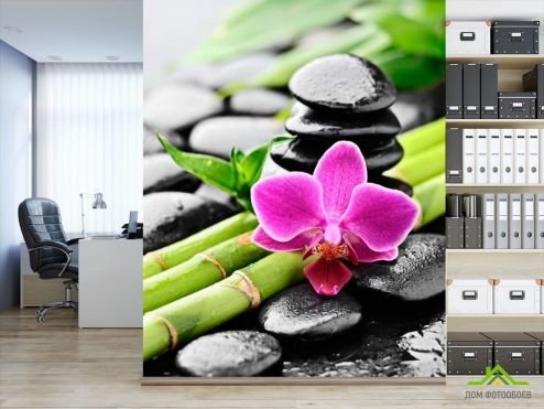выбрать Фотообои Бамбук, камни, орхидея Фотообои Цветы на стену