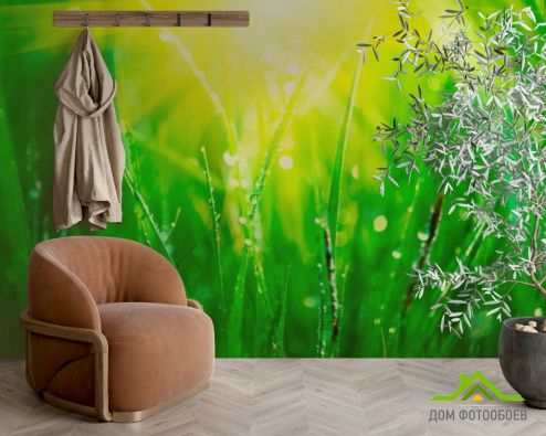 выбрать Фотообои На траве роса Фотообои Фотообои Природа: горизонталная, горизонтальная, зелений, зеленый ориентация на стену