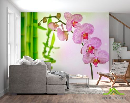 выбрать Фотообои Орхидеи и бамбук Фотообои Фотообои Цветы: горизонталная, горизонтальная, фото ориентация на стену