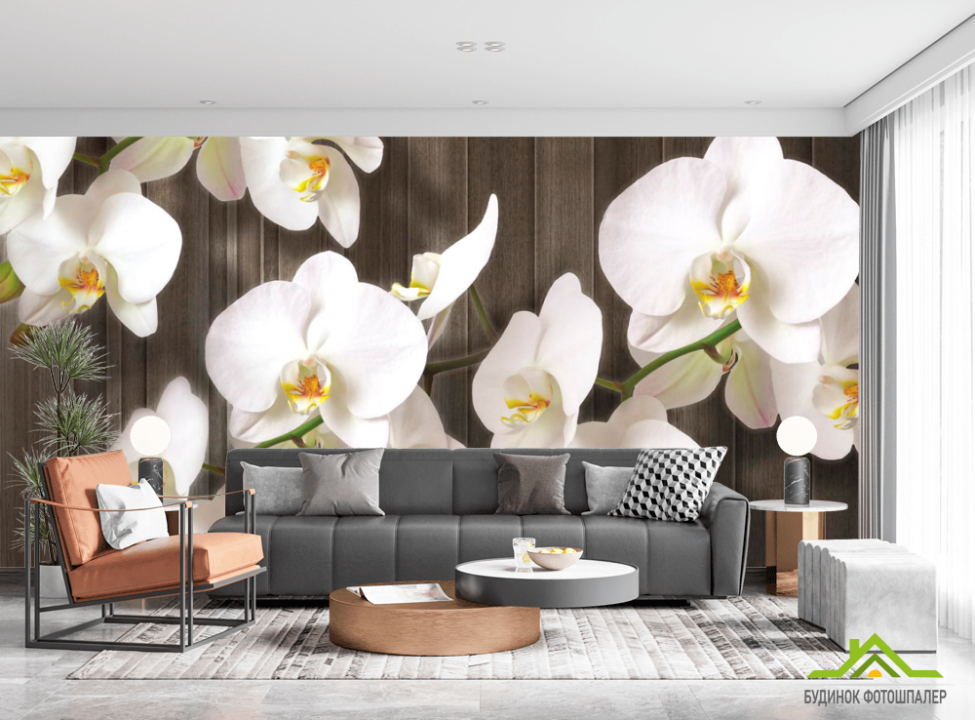 выбрать Фотошпалери Білі орхідеї на дереві Каталог фотошпалер на стіну