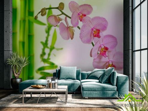 выбрать Фотошпалери Орхідеї і бамбук  на стіну