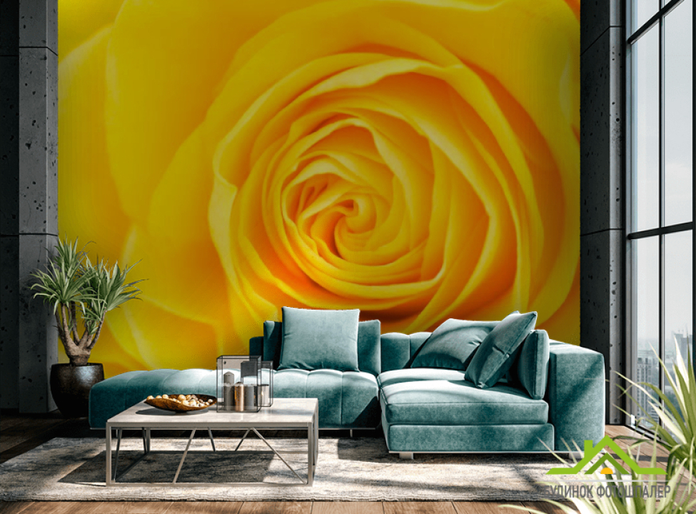 выбрать Фотообои Желтая роза крупным планом Каталог фотообоев на стену