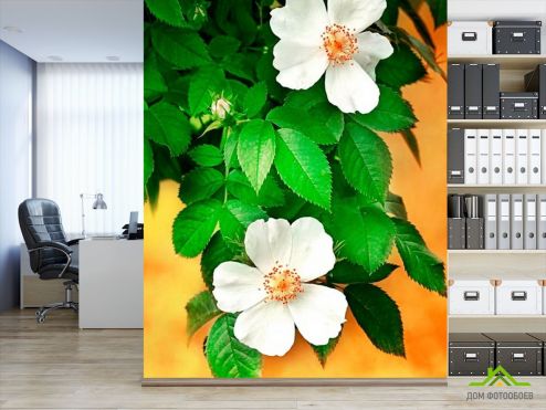 выбрать Фотообои Цветущий шиповник Фотообои Фотообои Цветы: вертикальная на стену
