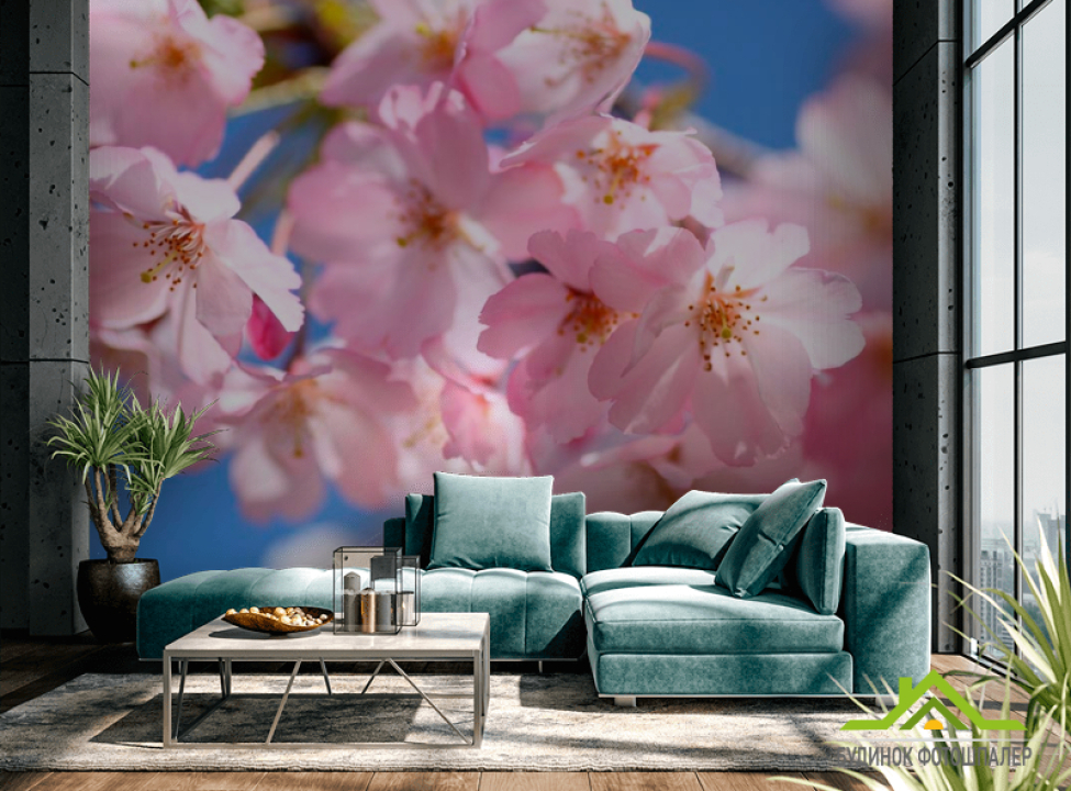 выбрать Фотошпалери Квітуча садова вишня Каталог фотошпалер на стіну