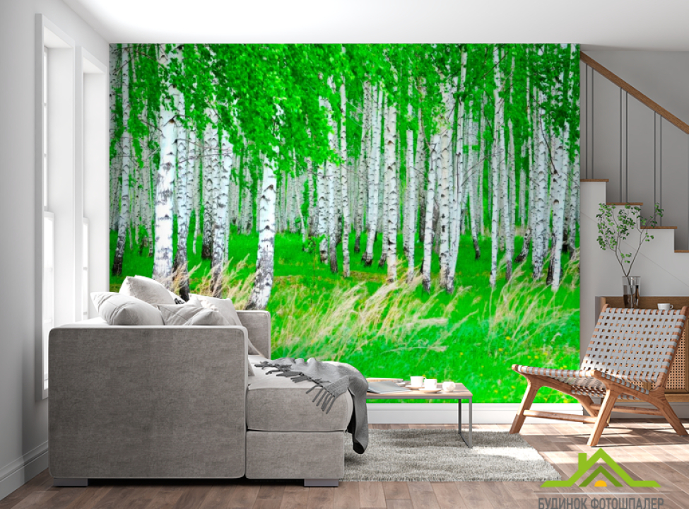 выбрать Фотошпалери Березовий гай, ліс Каталог фотошпалер на стіну