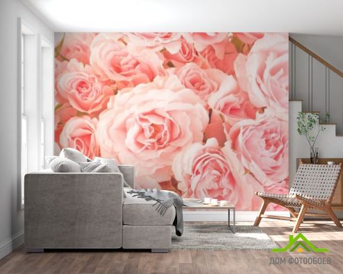 выбрать Фотообои Розы нежно-розовые Фотообои Фотообои Розы: горизонталная, горизонтальная ориентация на стену