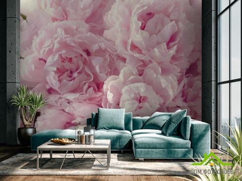 выбрать Фотообои пушистые розовые пионы Фотообои Цветы на стену