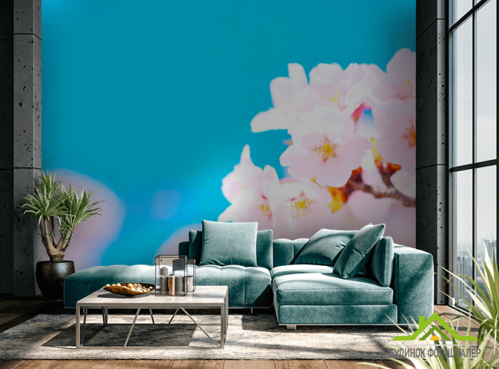 выбрать Фотошпалери Білі квіти в небі Каталог фотошпалер на стіну