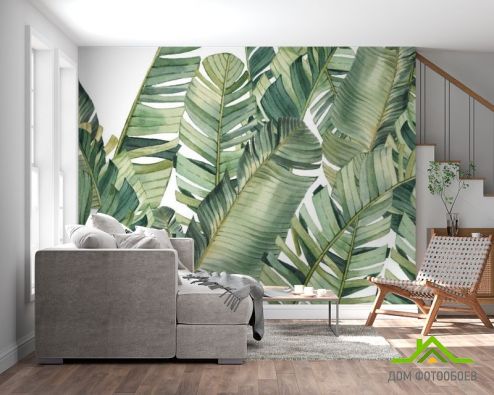 выбрать Фотообои Банановые листья Фотообои тропические листья на стену