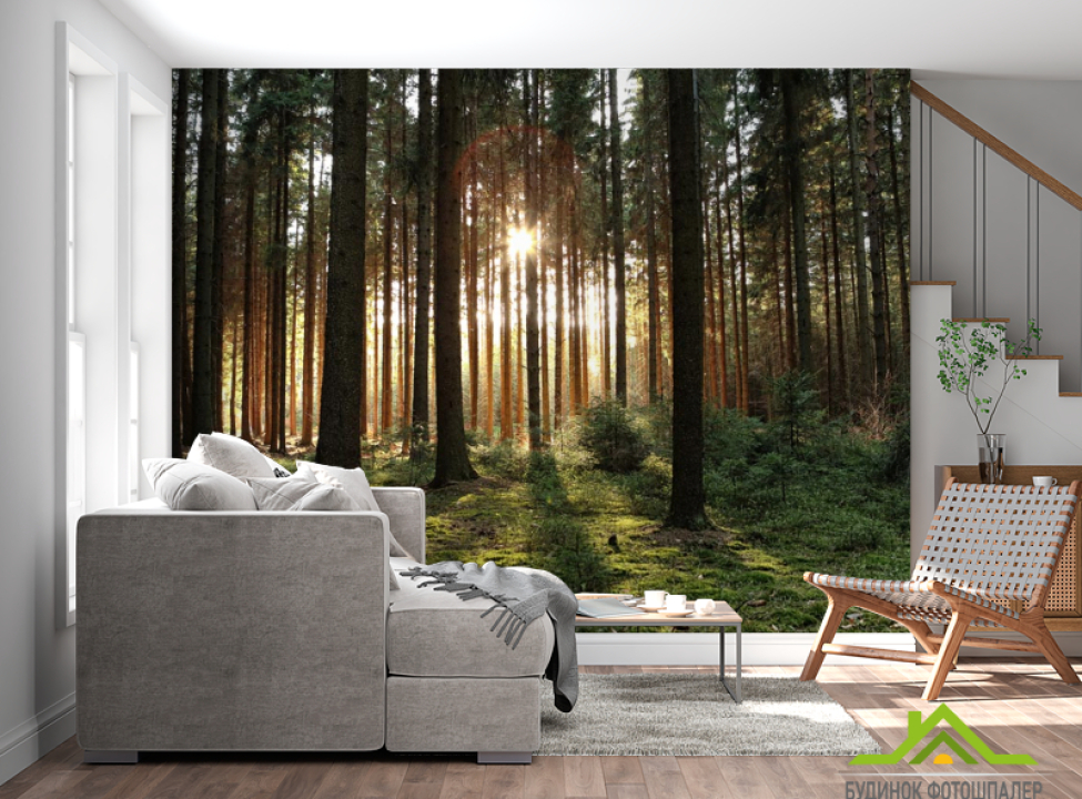 выбрать Фотообои солнце пробивается в лесу Каталог фотообоев на стену