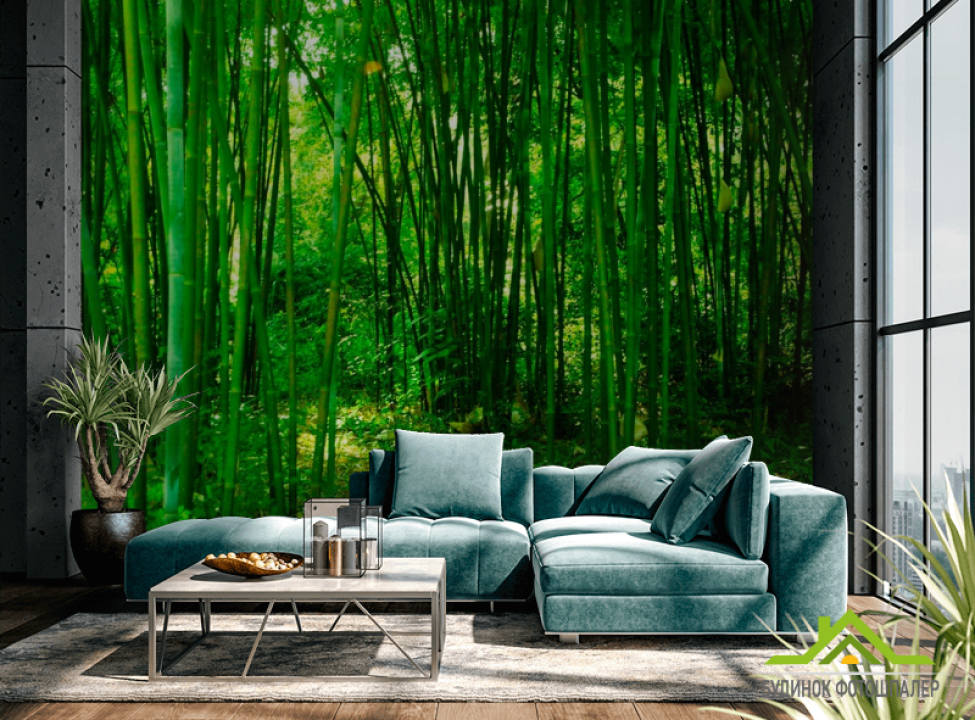 выбрать Фотошпалери Молодий бамбук Фотошпалери ліс на стіну