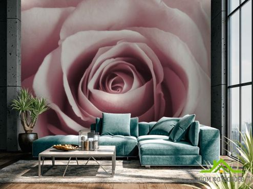 выбрать Фотошпалери бутон рожевої троянди Фотошпалери Фотошпалери Квіти: квадратна, горизонтальна орієнтація на стіну