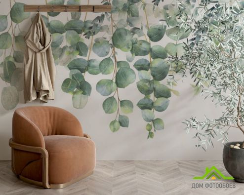 выбрать Фотообои Эвкалиптовые ветви Фотообои тропические листья на стену