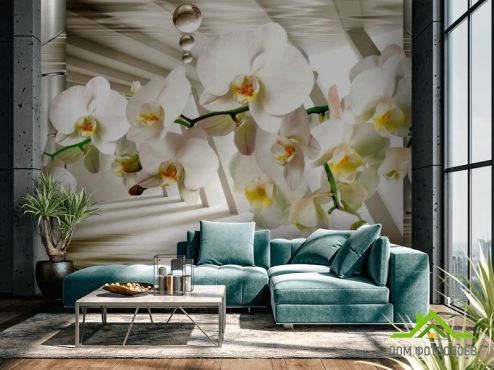 выбрать ФотообоиВетка орхідеї з камінням Фотошпалери Квіти на стіну