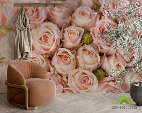 выбрать Фотообои нежные розовые розы Фотообои Фотообои Цветы: горизонталная, горизонтальная ориентация на стену