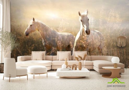 выбрать Фотообои Лошадки Фотообои Фотообои Животные: горизонталная, горизонтальная ориентация на стену
