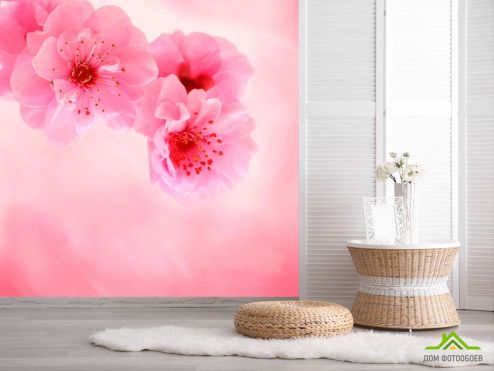 выбрать Фотообои Нежно-розовые цветы Розовые фотообои на стену