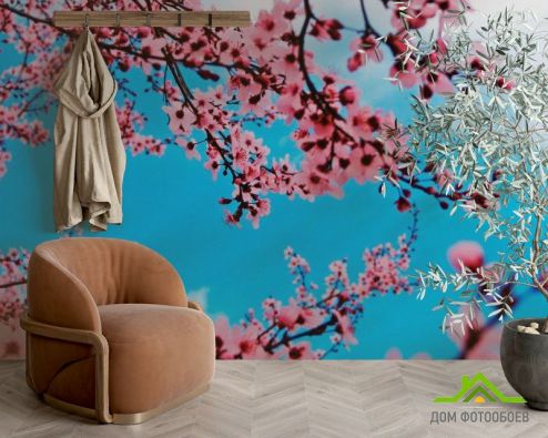 выбрать Фотообои Цветущая весной вишня Фотообои Фотообои Вишня: фото  на стену